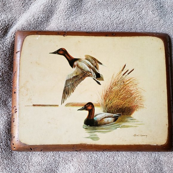 Ruane Manning Art Print Ducks on a Pond Lacquered to Wood - Picture 1 of 9